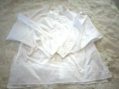 Item thumbnail for item 5da482e1-d7d0-4556-8691-aa13599e098d