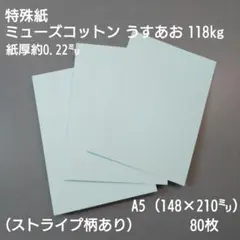 特殊紙、ミューズコットン うすあお 118kg、A5(148×210㍉)、80枚