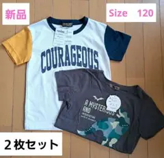 新品　120サイズ　Tシャツ2枚セット 半袖　恐竜　男の子