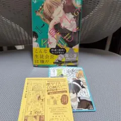 会長くんのしもべ　１巻　特典ペーパー付き