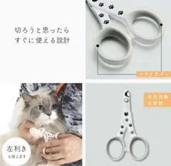 Item thumbnail for item 55238ce6-d6fa-47cc-bf7f-33a65731048e