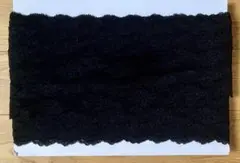 Item thumbnail for item a9901d4f-803e-4eb8-bc45-87a447bda5fe