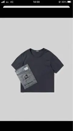 【新品未使用】STRONG PACK TEE Grey Lサイズ OURs