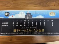 『夏の代表グルメフェア』オリジナル冷感クールタオル非売品