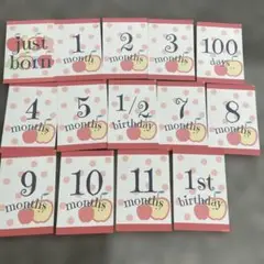 月齢カードセット 14枚 果物デザイン