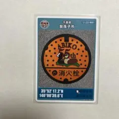 第26弾千葉県我孫子市Bのマンホールカード
