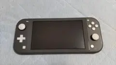 Nintendo Switch NINTENDO SWITCH LITE グ…