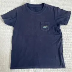 キッズ　Tシャツ