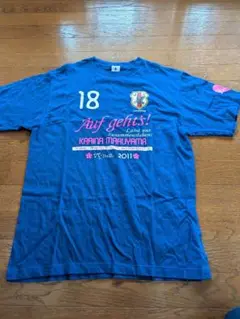なでしこジャパン 2011年　丸山桂里奈選手
