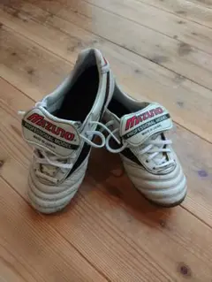 モレリア2JAPAN 23㎝