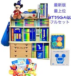 【DWE オーダーメイド専用】DWE 最新版　MTDS〜23万円〜