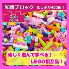 【大量セット!】カラフル知育ブロックセット❤400個以上!女の子カラー