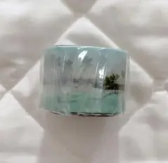 Item thumbnail for item 74199dab-ab83-4e27-b875-8dc0cc26dee9