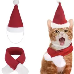Item thumbnail for item 17aa943e-42c9-478a-976b-8ba23eeaa18b