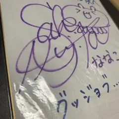 藤田咲 サイン色紙 懸賞品