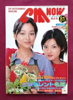 沢口靖子かぐや姫のぼり旗アイドル