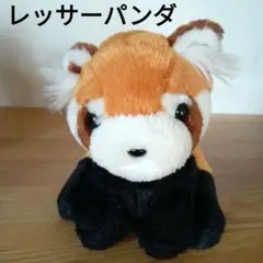 レトロ　ファンシー　ぬいぐるみの三英　たぬき　レッサーパンダ   あらいぐま 2025年最新】三英 ぬいぐるみ アライグマの人気アイテム - メルカリ