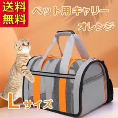 Item thumbnail for item 3f8343d2-6c6d-4195-8502-7a3e8313783a