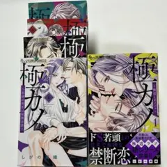 極カノ～極道とカノジョ～1/極カノ〜若頭の初恋は取扱注意〜1〜4