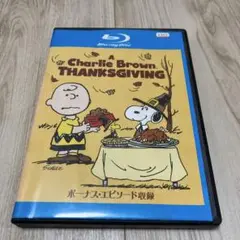レンタル版。日本語音声あり。Blu-ray スヌーピー　チャーリーブラウン