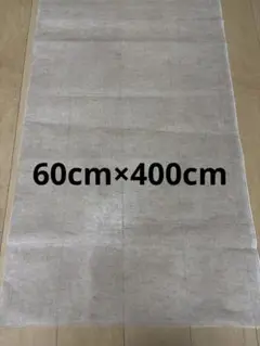 蚊帳生地 生成色 60cm×400cm
