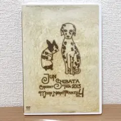 柴田淳 CONCERT TOUR 2013 月夜PARTY vol.4