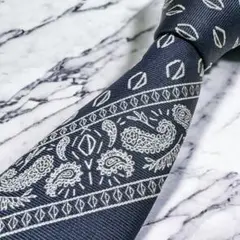 DIOR HOMME ネクタイ ナロー ネイビー トロッター オブリーク