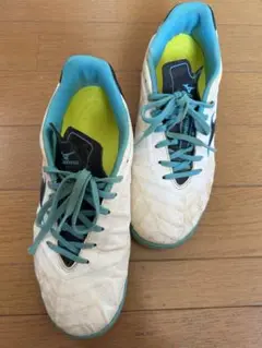 MIZUNO レビュラ 23.5
