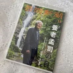 芸術新潮 2022年11月号　養老孟司の目　山下裕ニ　坂口恭平　春画　アート