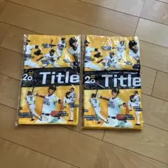 ★2枚セット★福岡ソフトバンクホークス タイトルホルダー 20周年記念 タオル