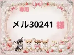 専用
