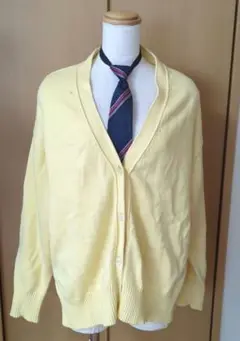 Item thumbnail for item 8bdc4e62-2a44-4968-85a0-a171ce903fcf