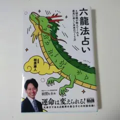 六龍法占い