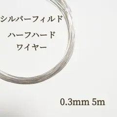 Item thumbnail for item 6e0c3af2-ccaf-4d43-b113-1ef0e9b7e878