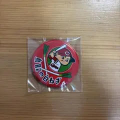 野球　カープ　缶バッジ