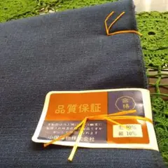 Item thumbnail for item 1c52dd21-bd33-405d-a466-4d8bf688cc01