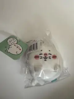 ナガノ　アザラシ　ぬいぐるみくじ　D賞　でもでもだってだって