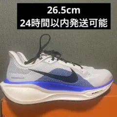AIR ZOOM PEGASUS 41 エア ズーム ペガサスh 41