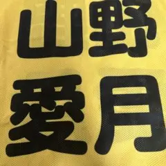専用