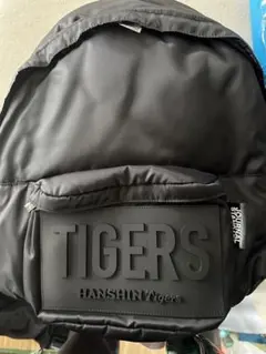 阪神タイガース ジャーナルスタンダード コラボ ビッグラバーネーム リュック Amazon.co.jp: 阪神タイガース ジャーナルスタンダード コラボ