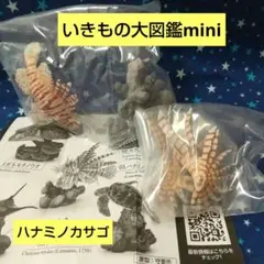 Item thumbnail for item 7938faa0-6d71-47d7-a1b1-9dc74e838802