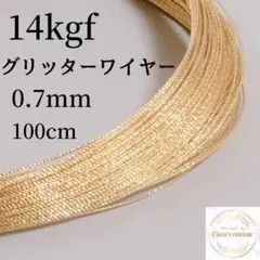 Item thumbnail for item c51eb2fd-c127-4eaf-916f-9f0d9d7b1fdd