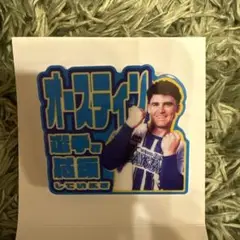 横浜DeNAベイスターズ オースティン　BlueMates限定 アクリルバッジ