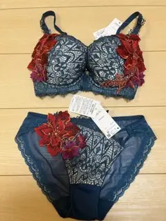 サルート72グループ　店舗限定　F65&Mサイズショーツ　ワコール