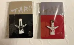 【新品未開封】岡本太郎　ピンバッジセット 太陽の塔　表と裏　TARO 万博
