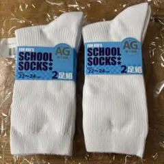 Item thumbnail for item 77d32227-f599-4b60-9758-e0cb16e7ffcd