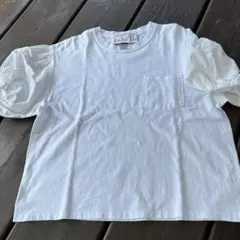 dahlia白パフスリーブＴシャツ