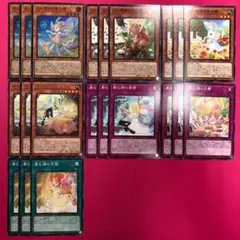 春化精 フルセット 各3枚