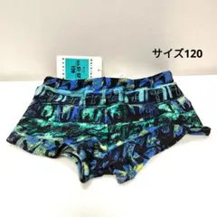 Item thumbnail for item 26ab24fe-e698-4a9f-b433-5d68c929f240