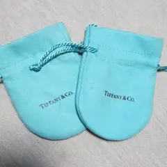 Item thumbnail for item 1ad5108c-35cf-4107-bc3d-2945d7f478f5